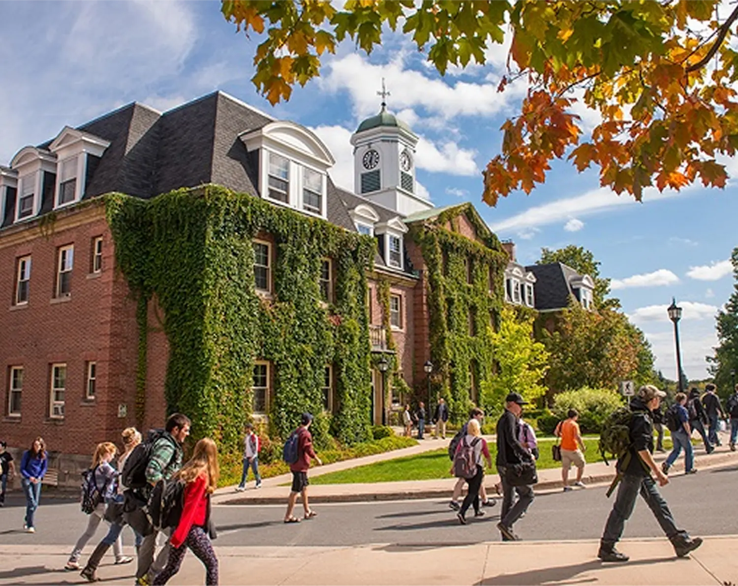 Connecting Students with Opportunities