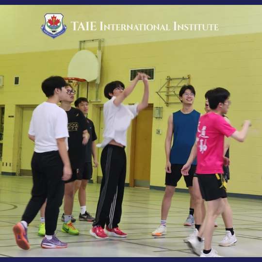 周末时光轴，达英生活中的三分球